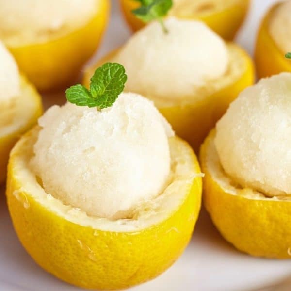 Homemade Lemon Sorbet sweetened with Stevia Sweetener - Health Garden of USA - KETO Certified by the Paleo Foundation